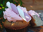 cupcake m. solbær